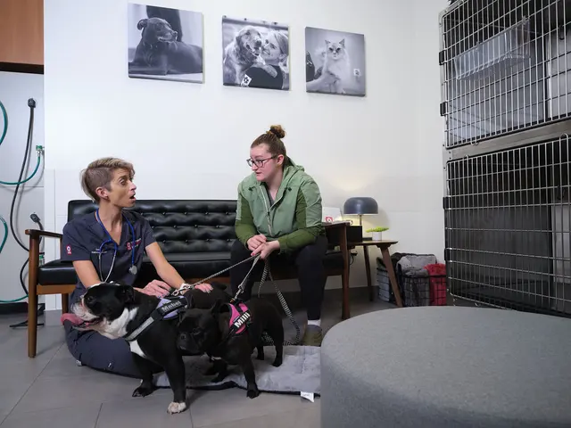 VEG ER for Pets — photo from the business 5