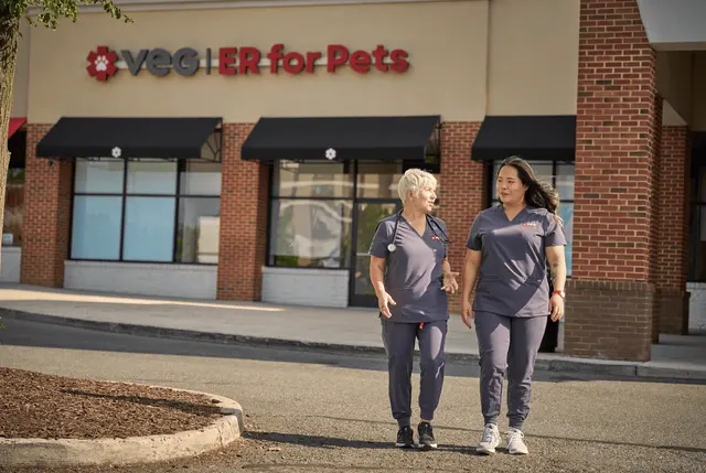 VEG ER for Pets — photo from the business 3