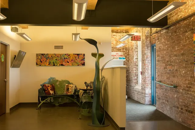 Bull City Veterinary Hospital — photo from the business 2