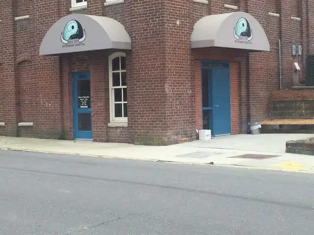 Bull City Veterinary Hospital — customer photo 4