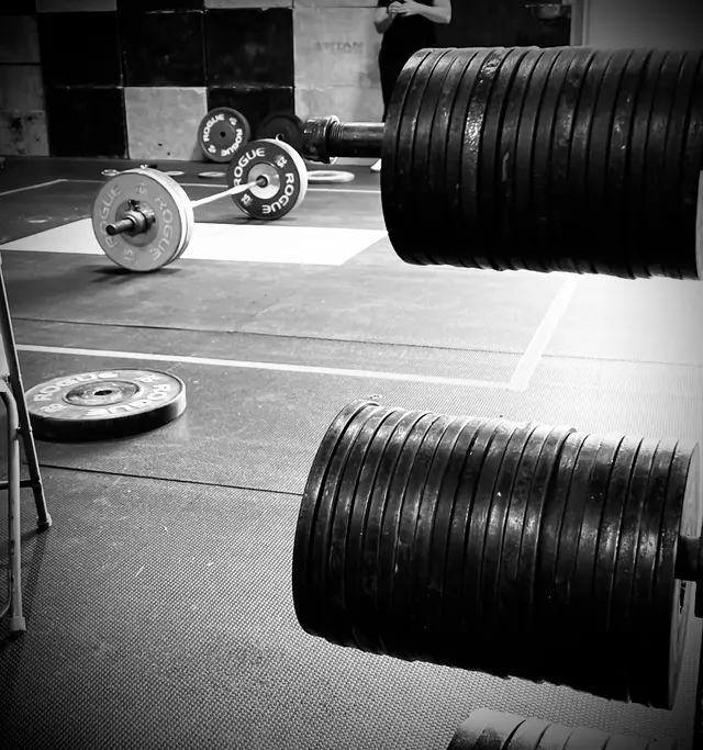 Customer photo of work by Intrepid Strength and Conditioning, from Maria Reyes's review