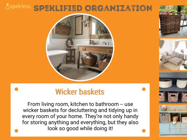 Spekless Cleaning — photo from the business 2