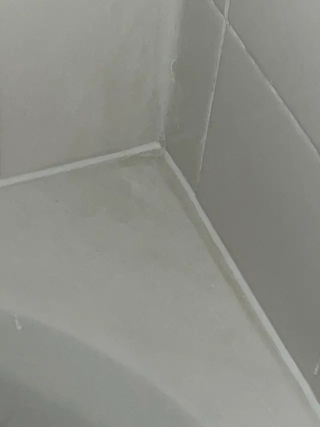 Customer photo from C's review