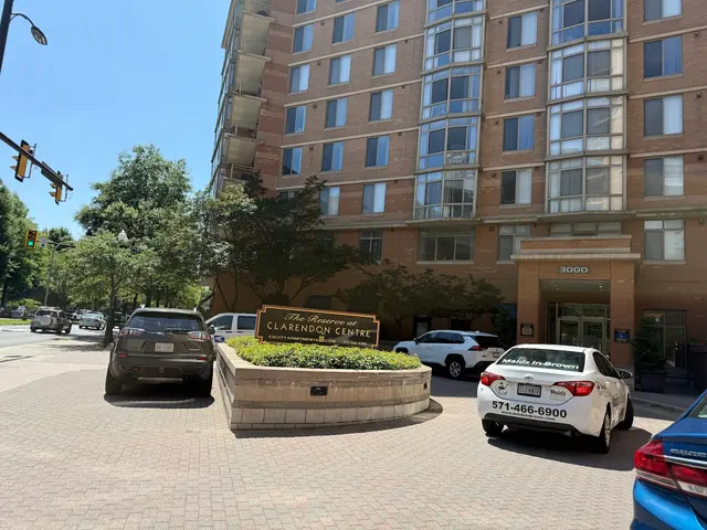 Maids in Brown LLC — photo from the business 8