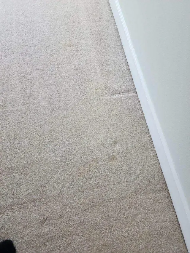 Customer photo from nazriet's review