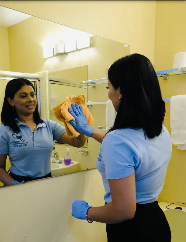 Alina's Cleaning Services — photo from the business 1