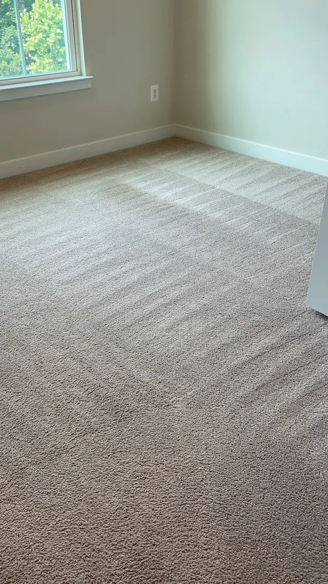Alina's Cleaning Services — photo from the business 4