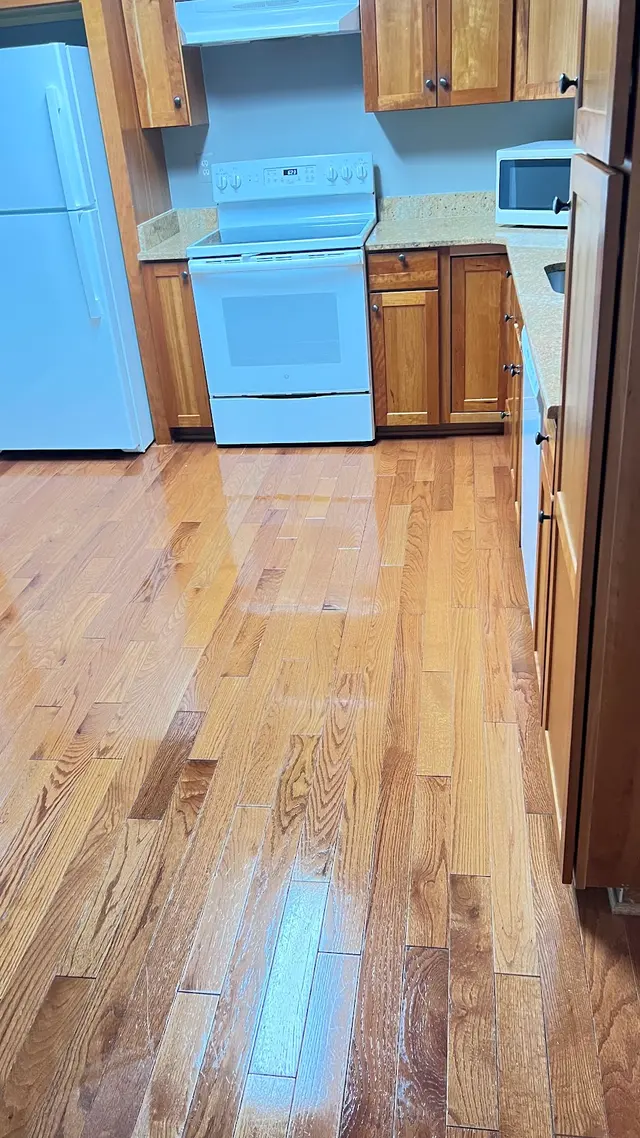 Alina's Cleaning Services — photo from the business 6
