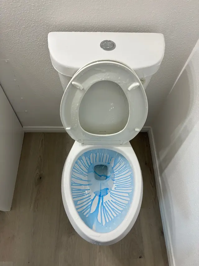 Coastal House Cleaning — photo from the business 6