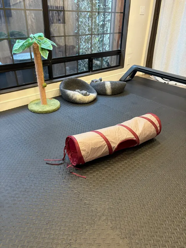 The Cleaning Authority - San Diego — customer photo 10