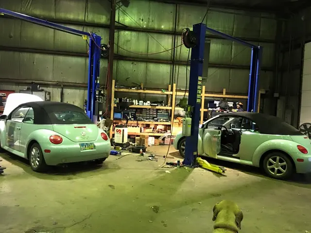 DANDINI'S Servicing European Vehicles — photo from the business 4