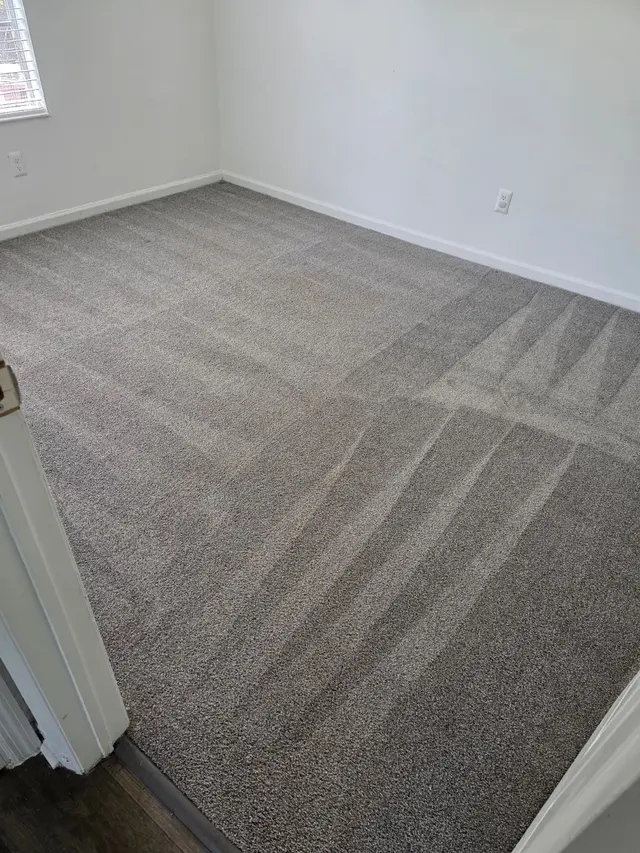 The Cleaning Pros of Jax — photo from the business 12