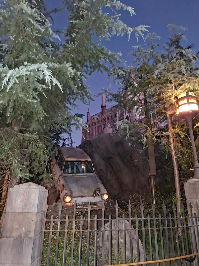 The Wizarding World of Harry Potter — customer photo 7