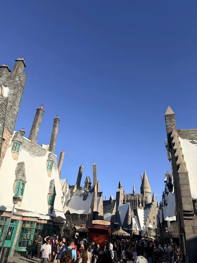 The Wizarding World of Harry Potter — customer photo 9