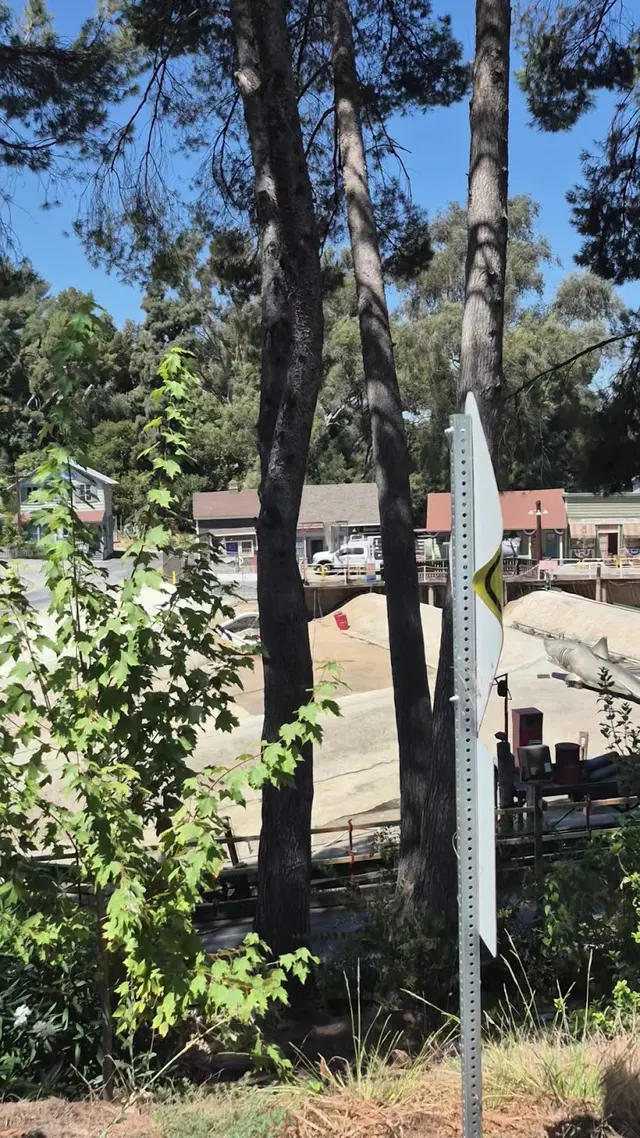 Universal Studio Tour — customer photo 8