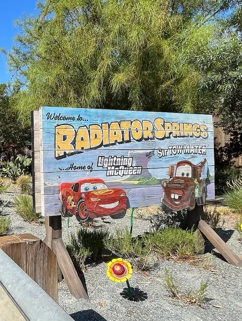 Cars Land — customer photo 7