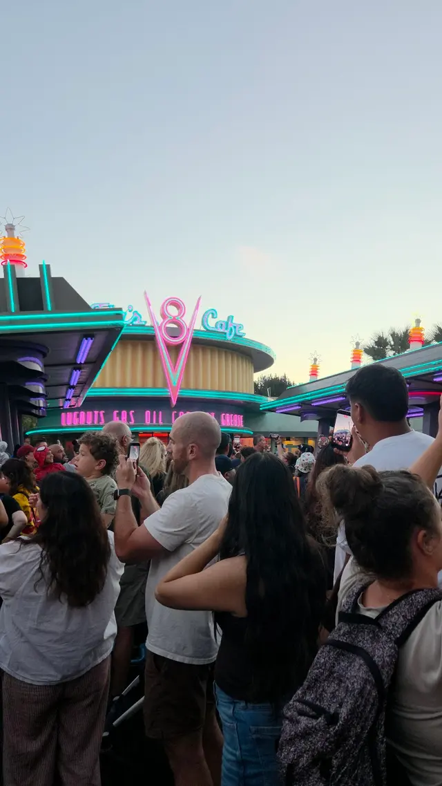 Cars Land — customer photo 12