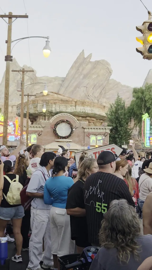 Cars Land — customer photo 9