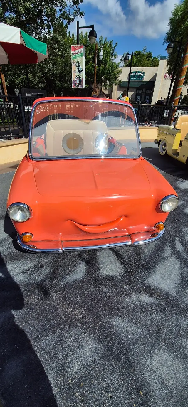 Customer photo of work by Cars Land, from Sergio Laprade's review