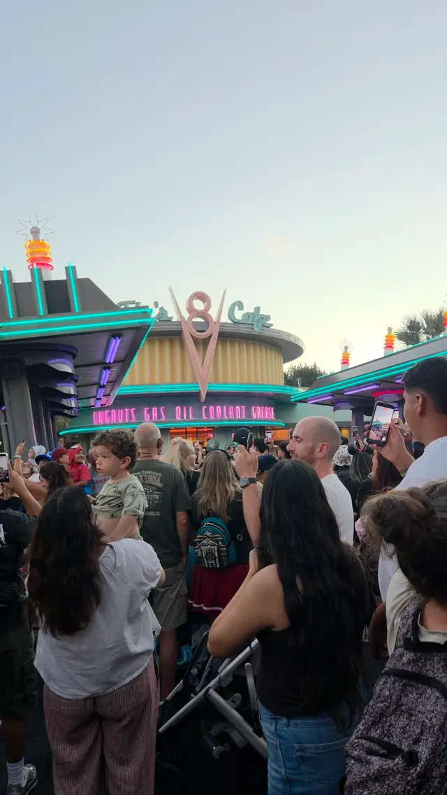 Cars Land — customer photo 11