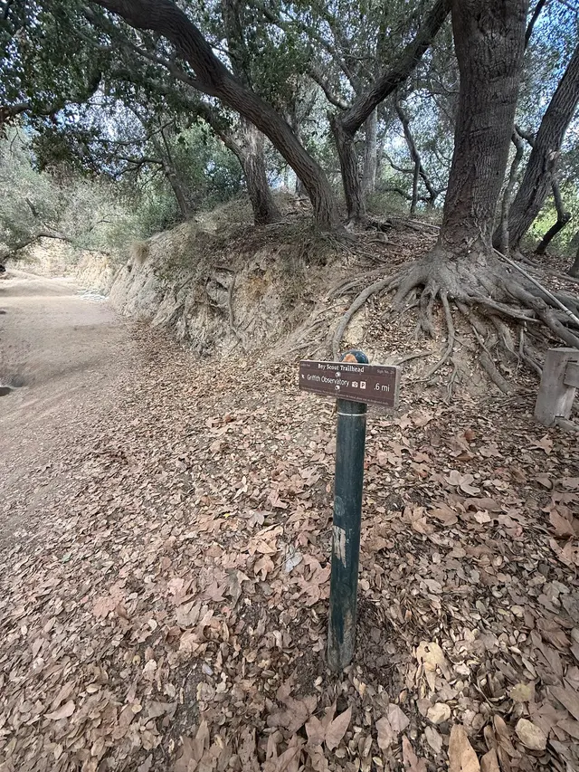 Griffith Park — customer photo 7