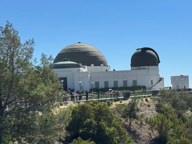 Customer photo of work by Griffith Park, from Dee Block's review
