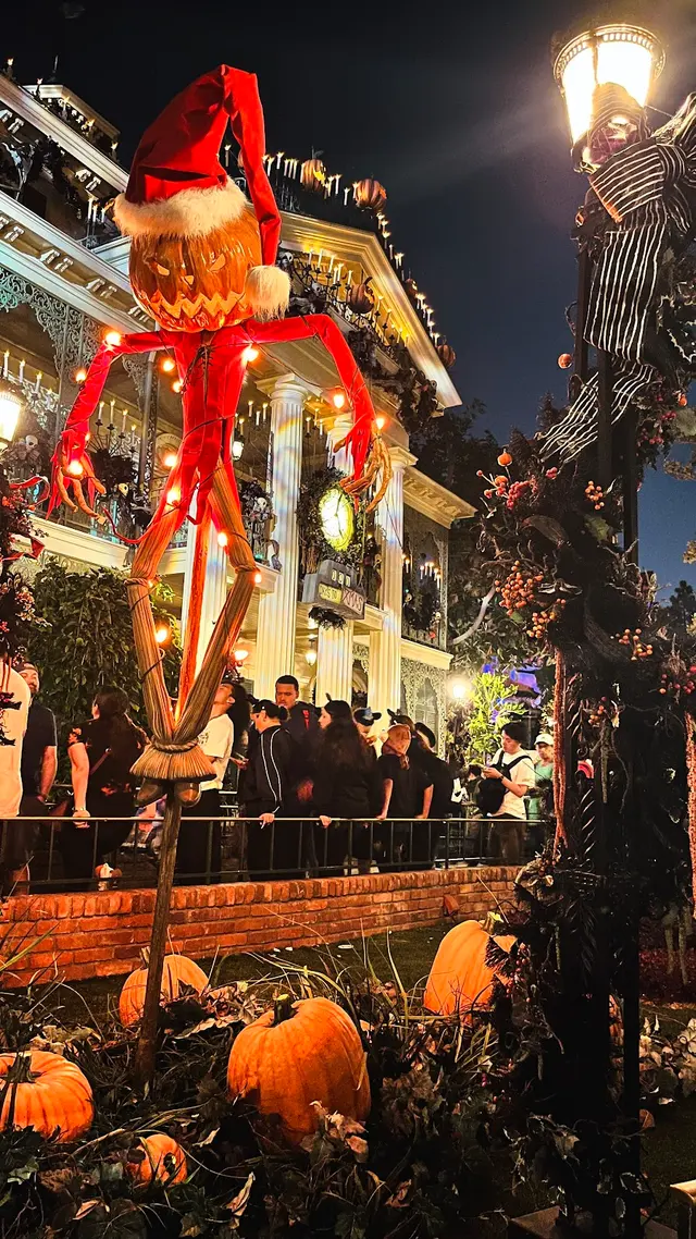 Customer photo of work by Disneyland Resort, from Eduardo Escobedo's review