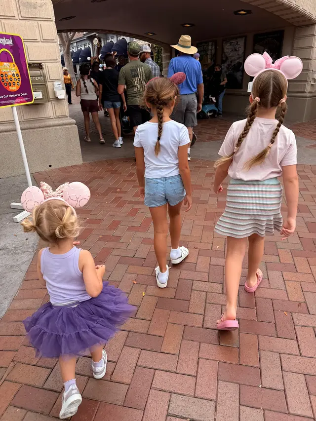 Disneyland Resort — customer photo 6