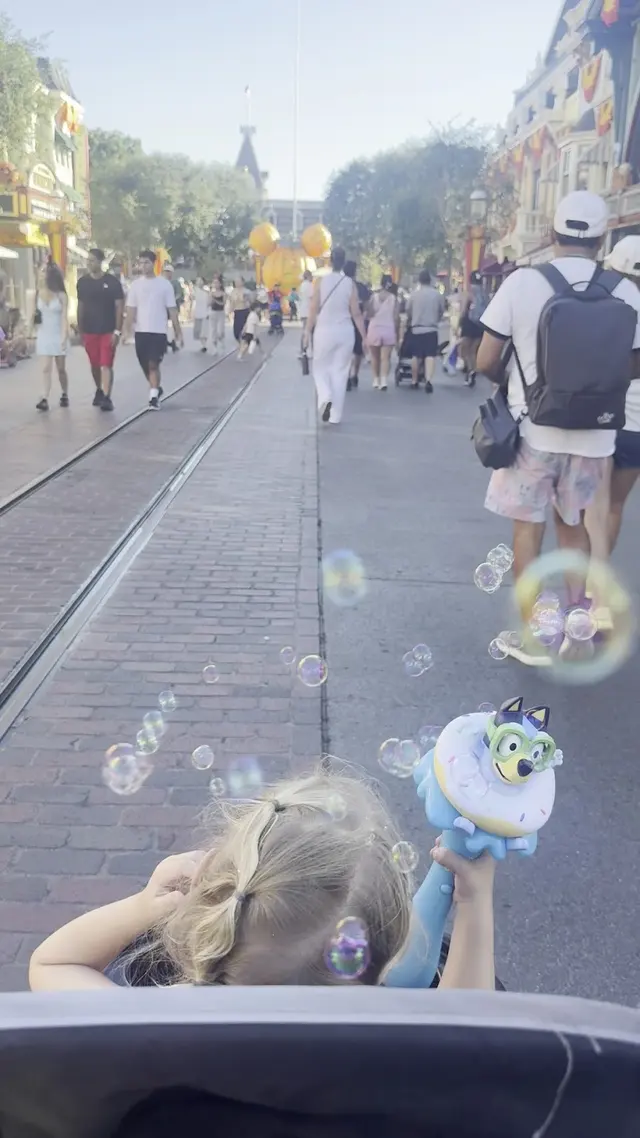 Disneyland Resort — customer photo 2