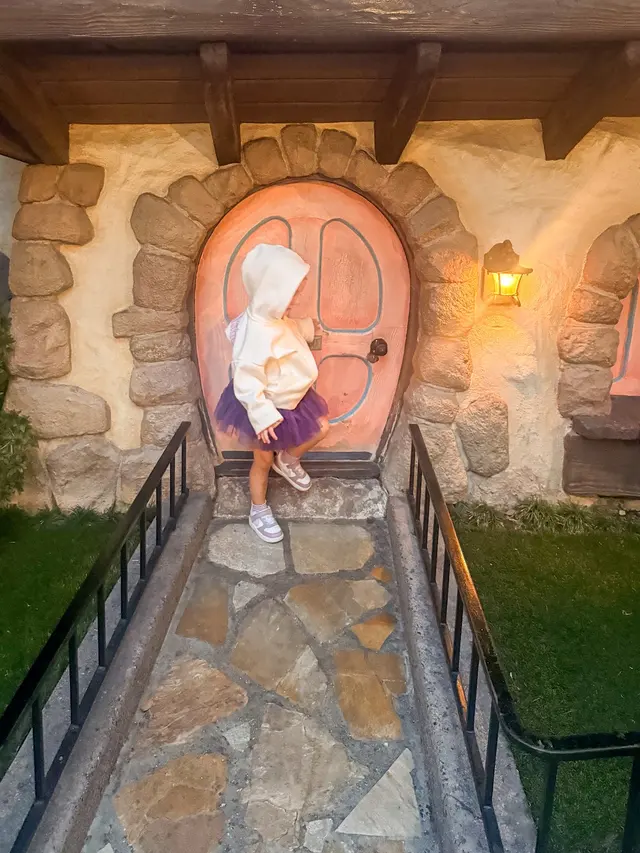 Disneyland Resort — customer photo 4