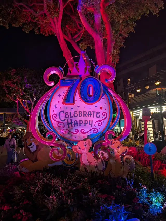 Disneyland Resort — customer photo 1