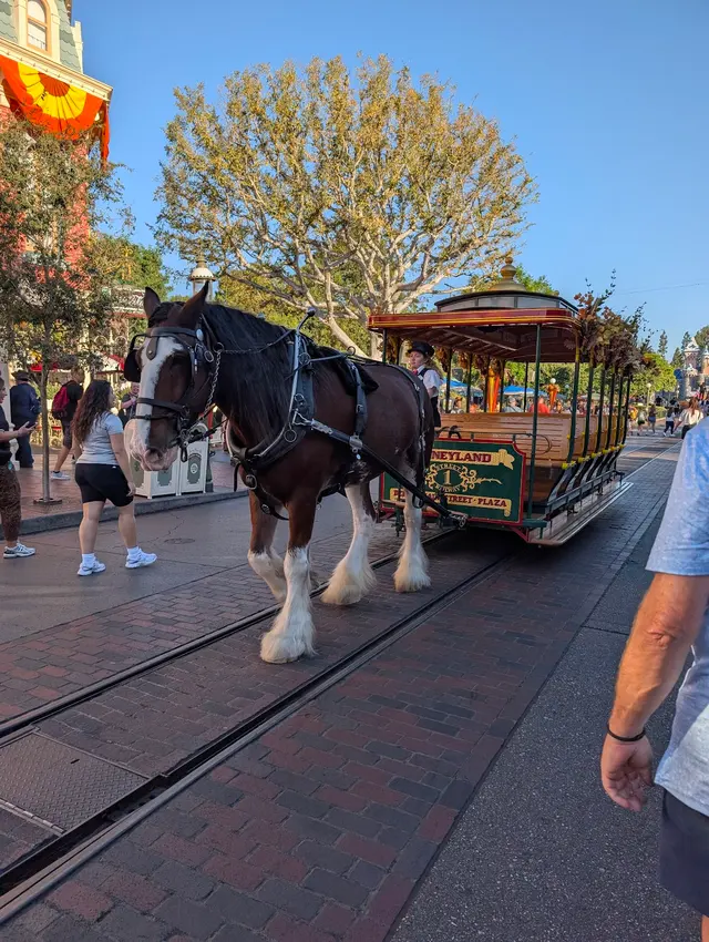 Disneyland Resort — customer photo 12