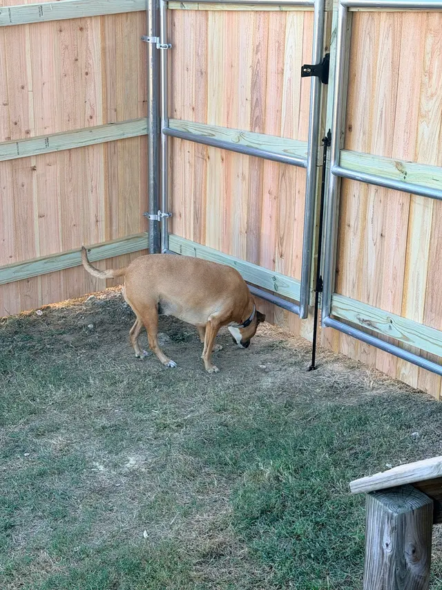 Customer photo of work by Premier Fence LLC, from Sam Vetter's review