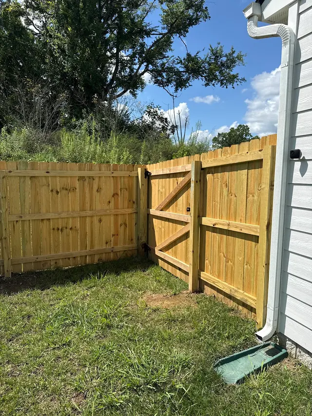 Customer photo from Aleksandr's review