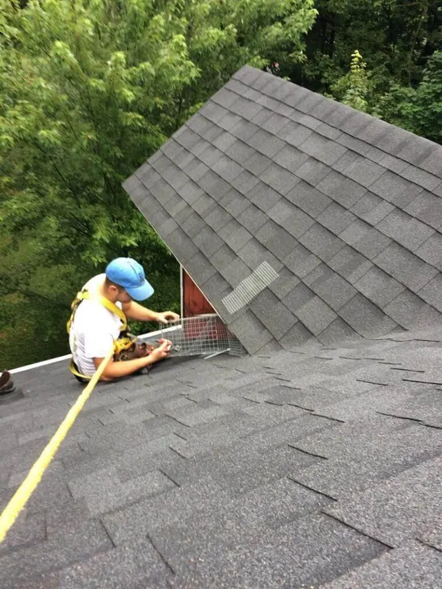 Critter Removal Indianapolis — photo from the business 3