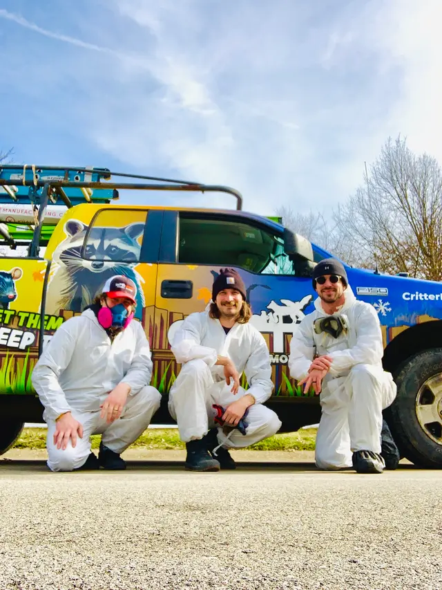 Critter Removal Indianapolis — photo from the business 11