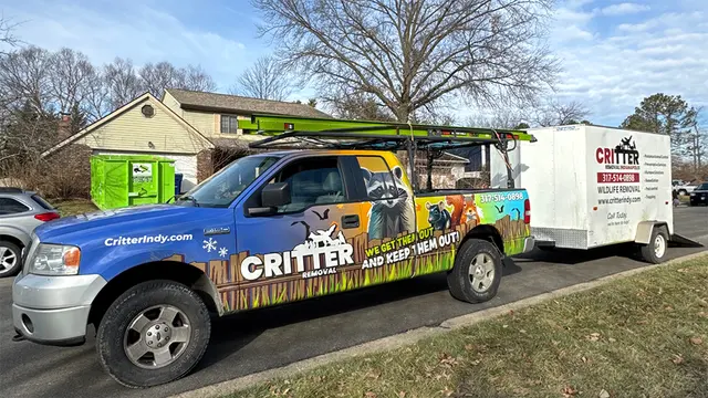 Critter Removal Indianapolis — photo from the business 8