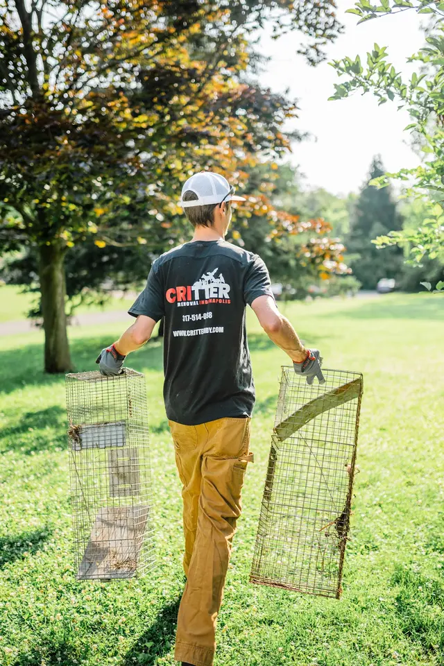 Critter Removal Indianapolis — photo from the business 10