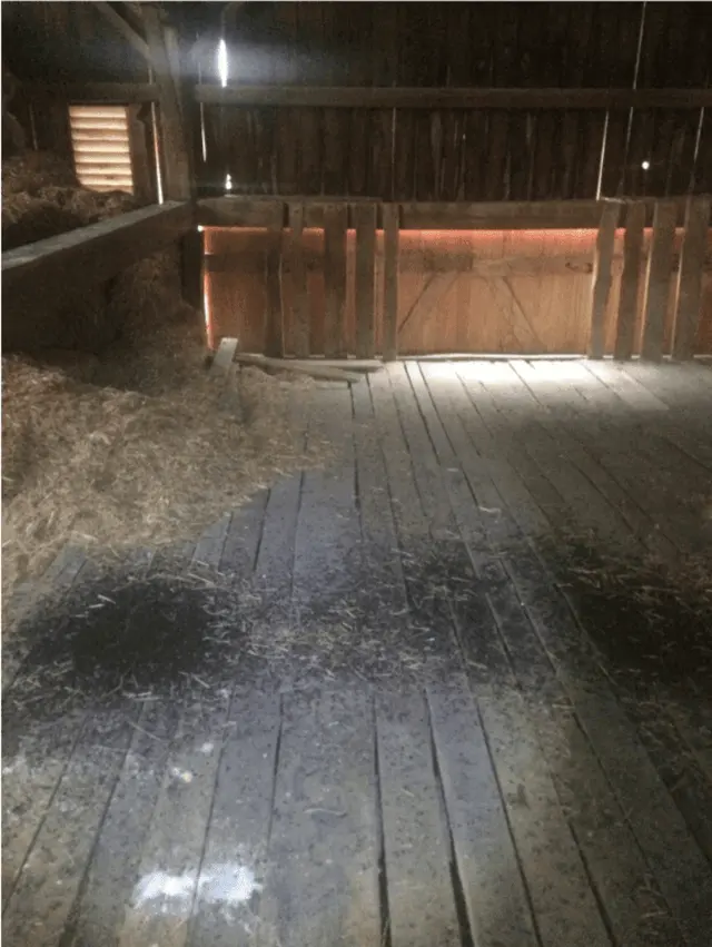 Critter Removal Indianapolis — photo from the business 6