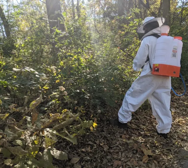 Critter Removal Indianapolis — photo from the business 12