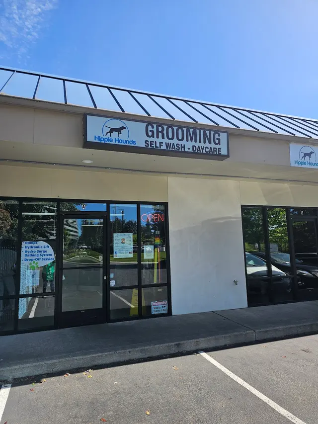 Hippie Hounds Grooming & Self Wash — photo from the business 1