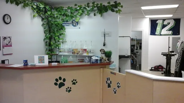 Hippie Hounds Grooming & Self Wash — photo from the business 5