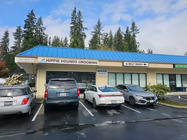 Hippie Hounds Grooming & Self Wash — photo from the business 3