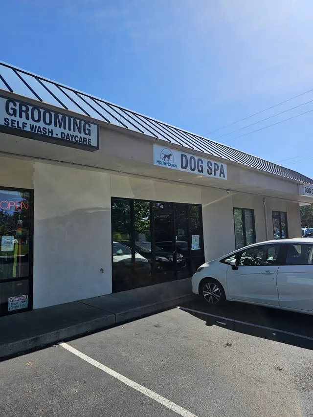 Hippie Hounds Grooming & Self Wash — photo from the business 11