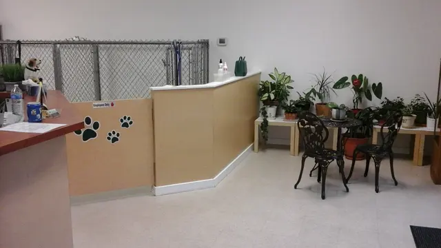 Hippie Hounds Grooming & Self Wash — photo from the business 6