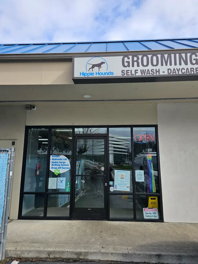 Hippie Hounds Grooming & Self Wash — photo from the business 8