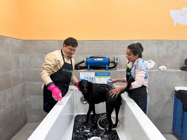 Pet Evolution - Mill Creek, WA - Grooming | Self-Wash | Healthy Food | Mobile Nail Trim — photo from the business 7