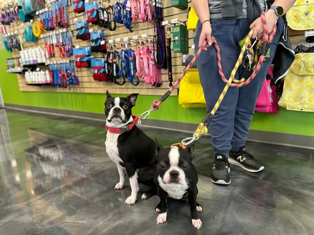 Pet Evolution - Mill Creek, WA - Grooming | Self-Wash | Healthy Food | Mobile Nail Trim — photo from the business 8