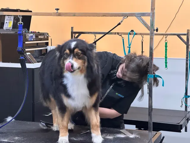 Pet Evolution - Mill Creek, WA - Grooming | Self-Wash | Healthy Food | Mobile Nail Trim — photo from the business 10