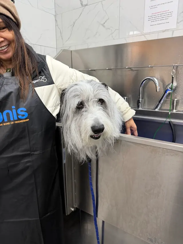 Polished Paws Grooming & Self Wash — customer photo 8